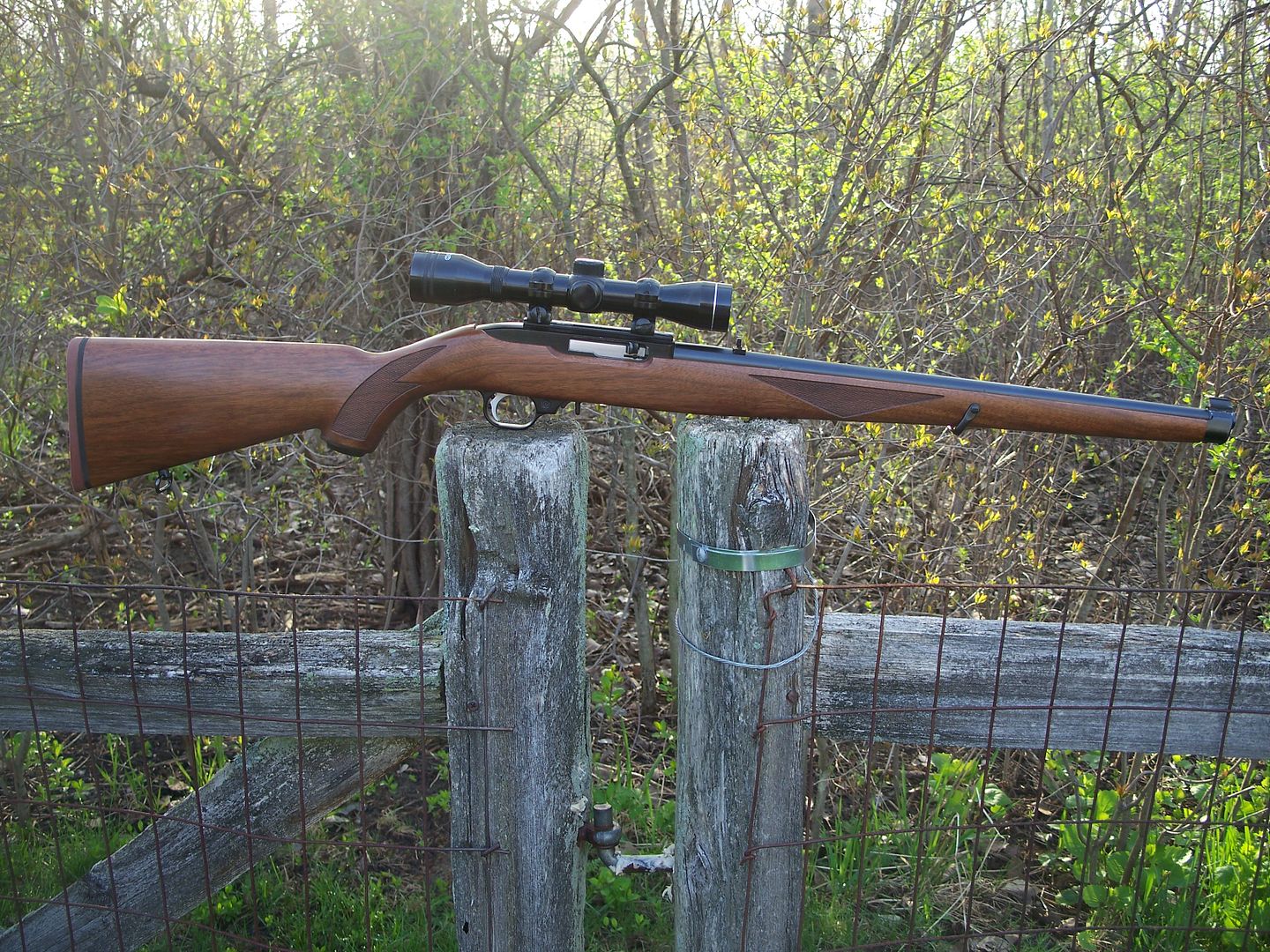 My new/old Ruger 10/22 International